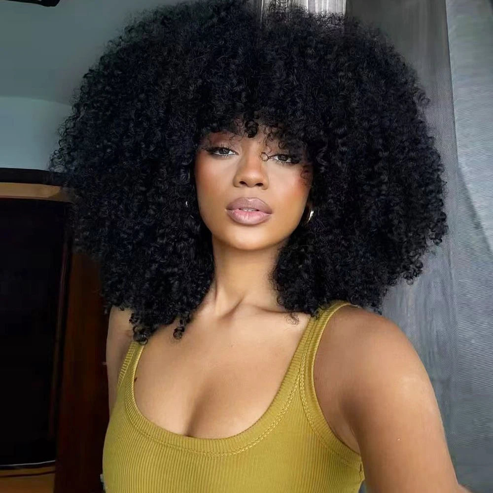 Afro Kinky Curly Wig