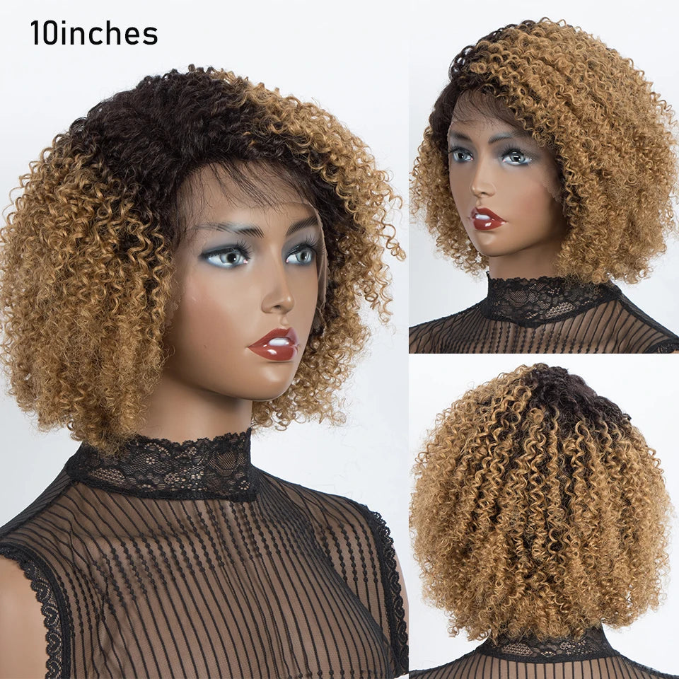 Ombre Brown Curly Wigs