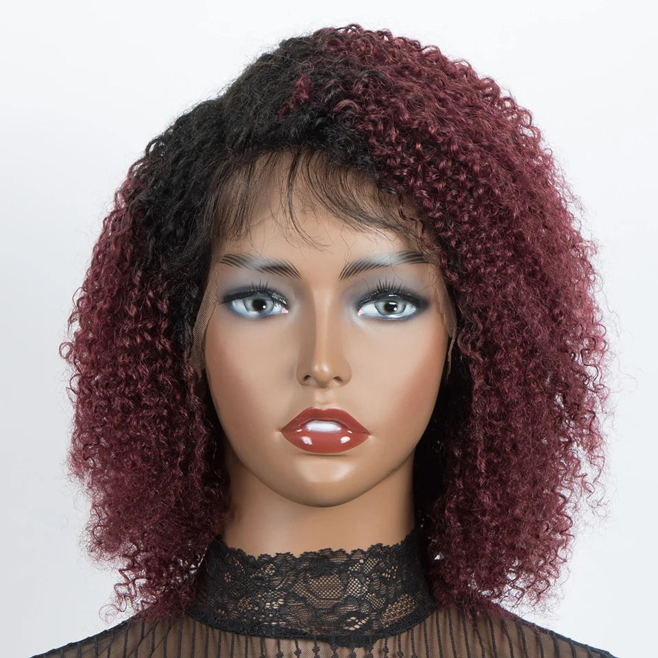 Ombre Brown Curly Wigs