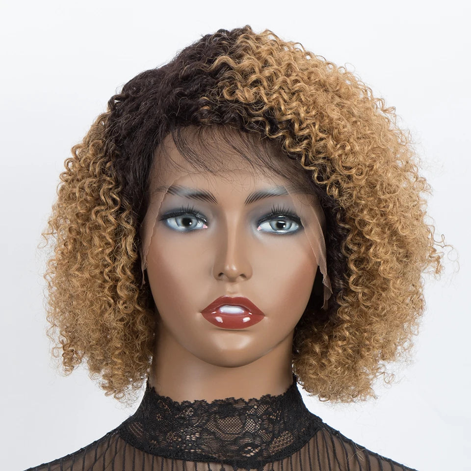 Ombre Brown Curly Wigs