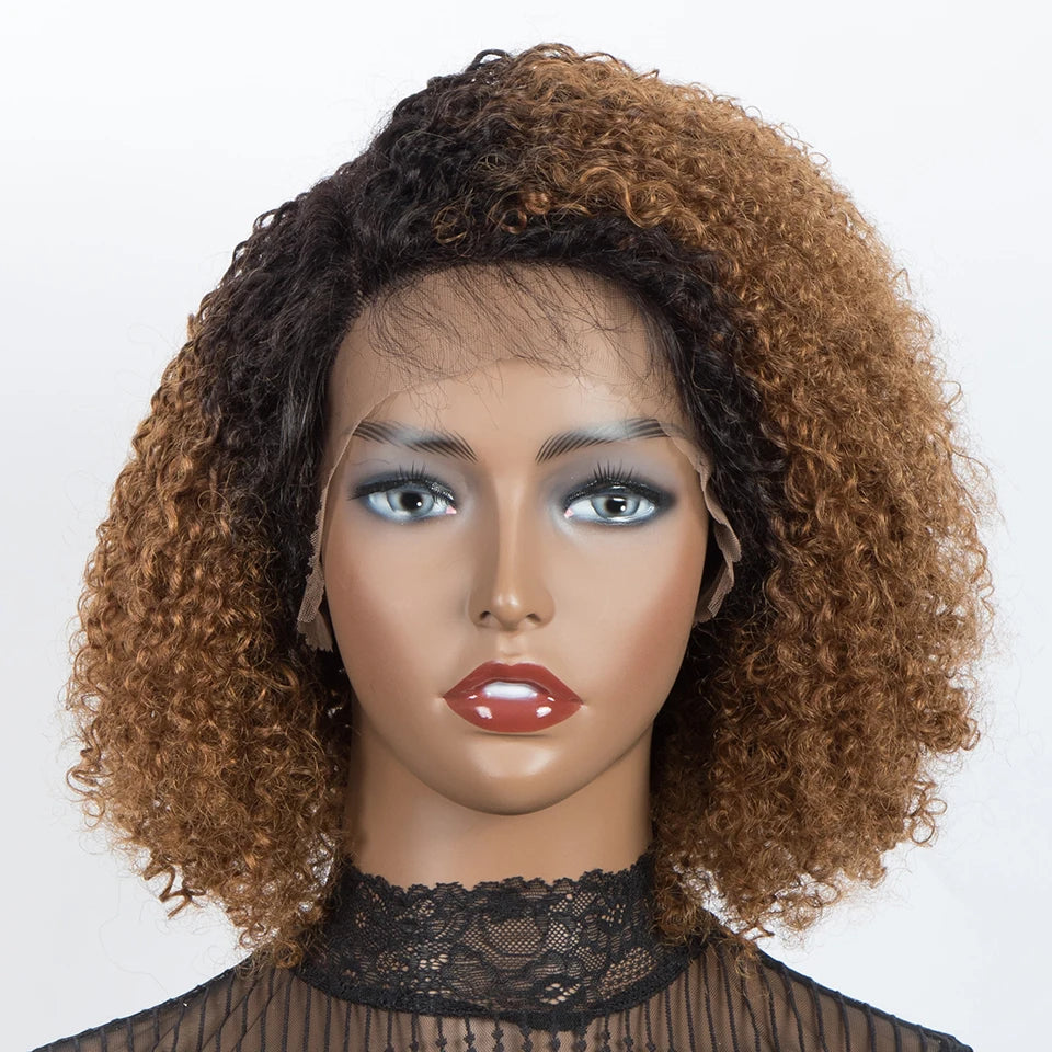 Ombre Brown Curly Wigs
